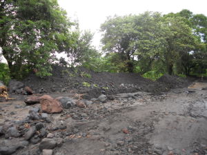 DSCN0153