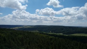 Blick vom Mittelberg